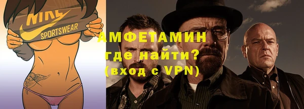 крисы Бородино
