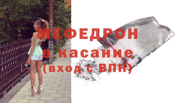 крисы Бородино