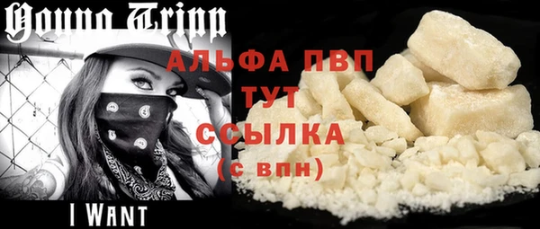 крисы Бородино