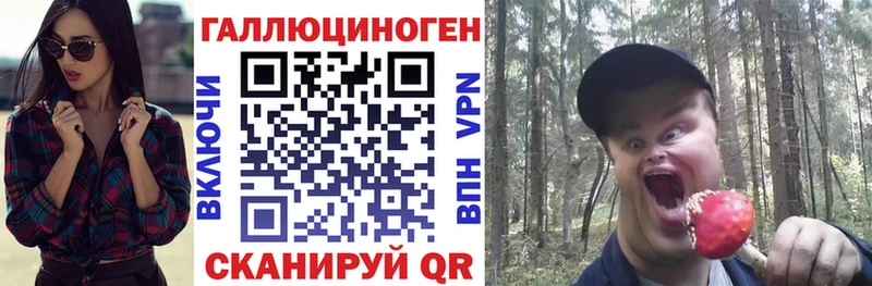 ОМГ ОМГ ссылки  darknet формула  Псилоцибиновые грибы Psilocybe  сколько стоит  Медногорск 